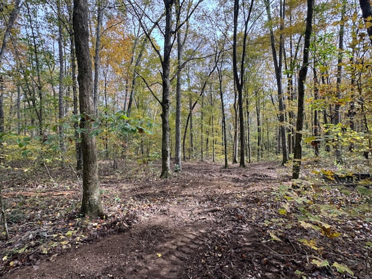 Image for 65 acres on Barren Fork Creek - Bon Aqua, TN