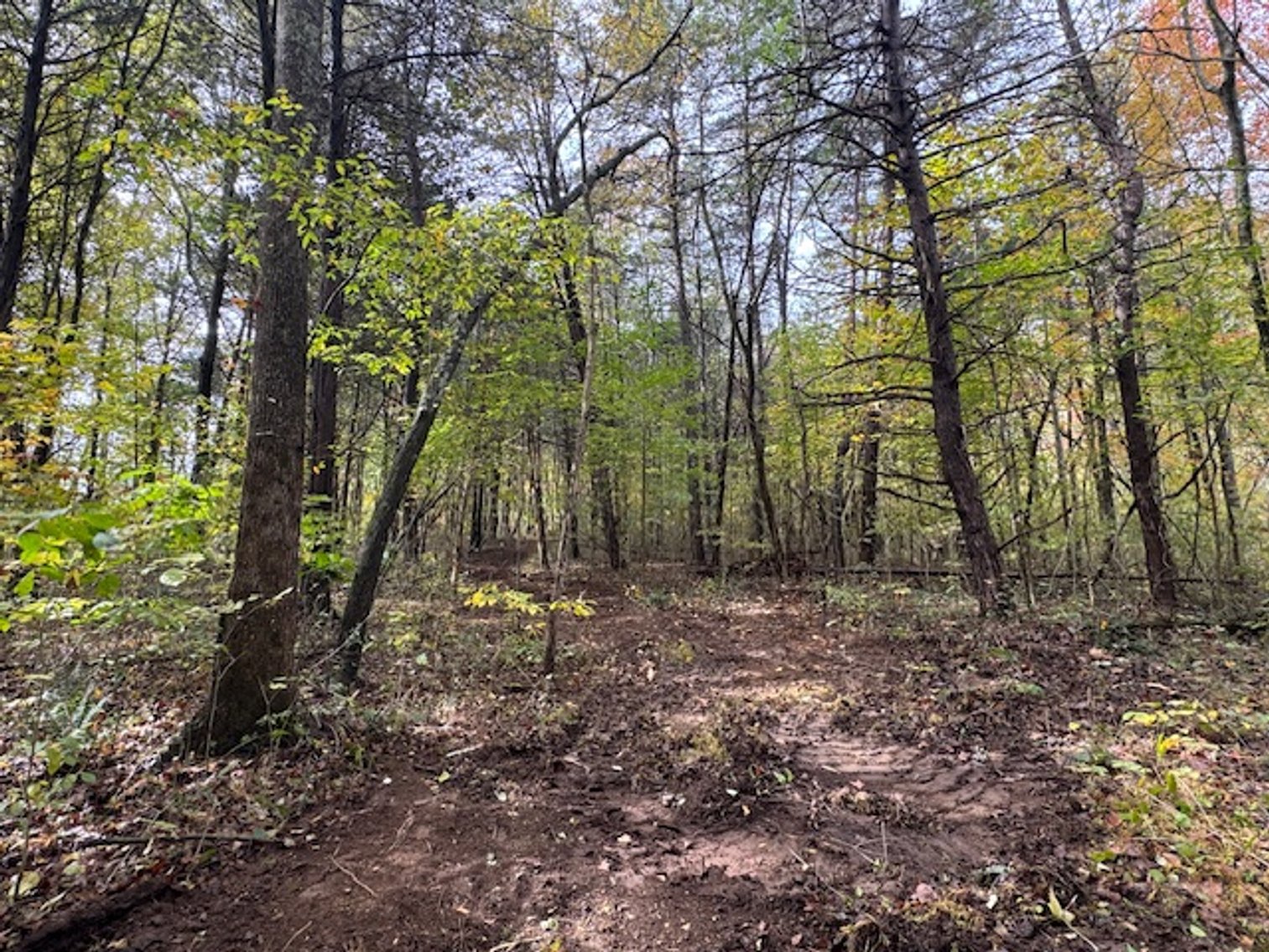 Image for 65 acres on Barren Fork Creek - Bon Aqua, TN