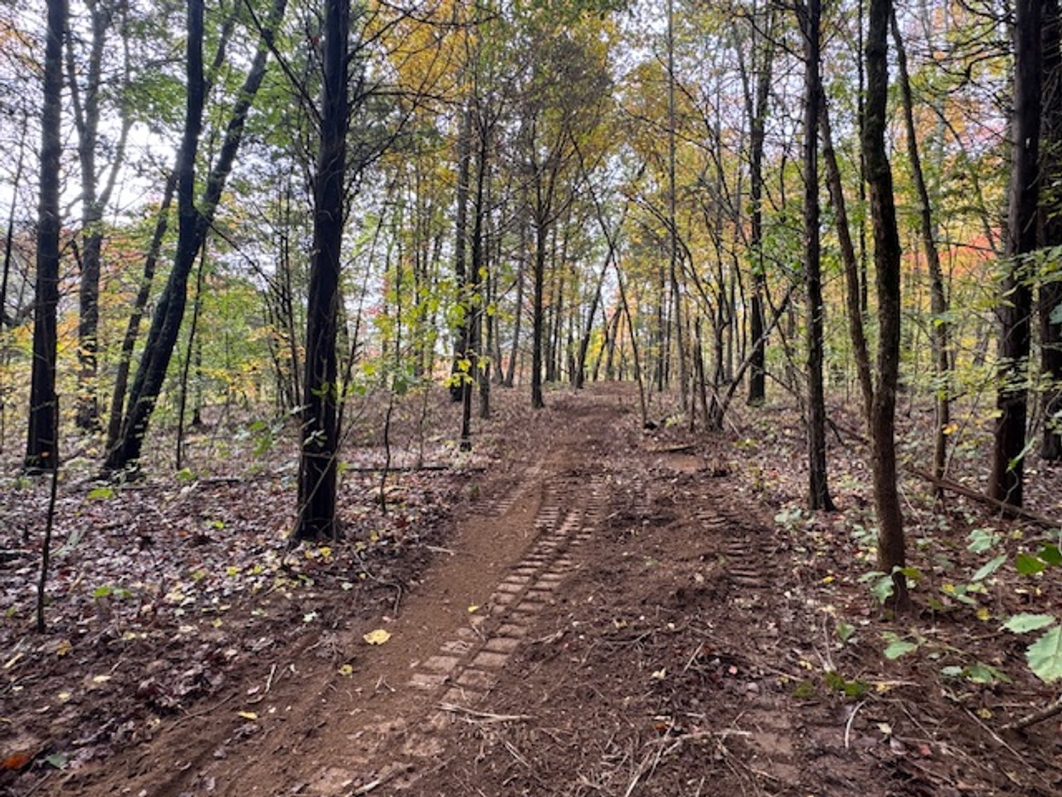 Image for 65 acres on Barren Fork Creek - Bon Aqua, TN