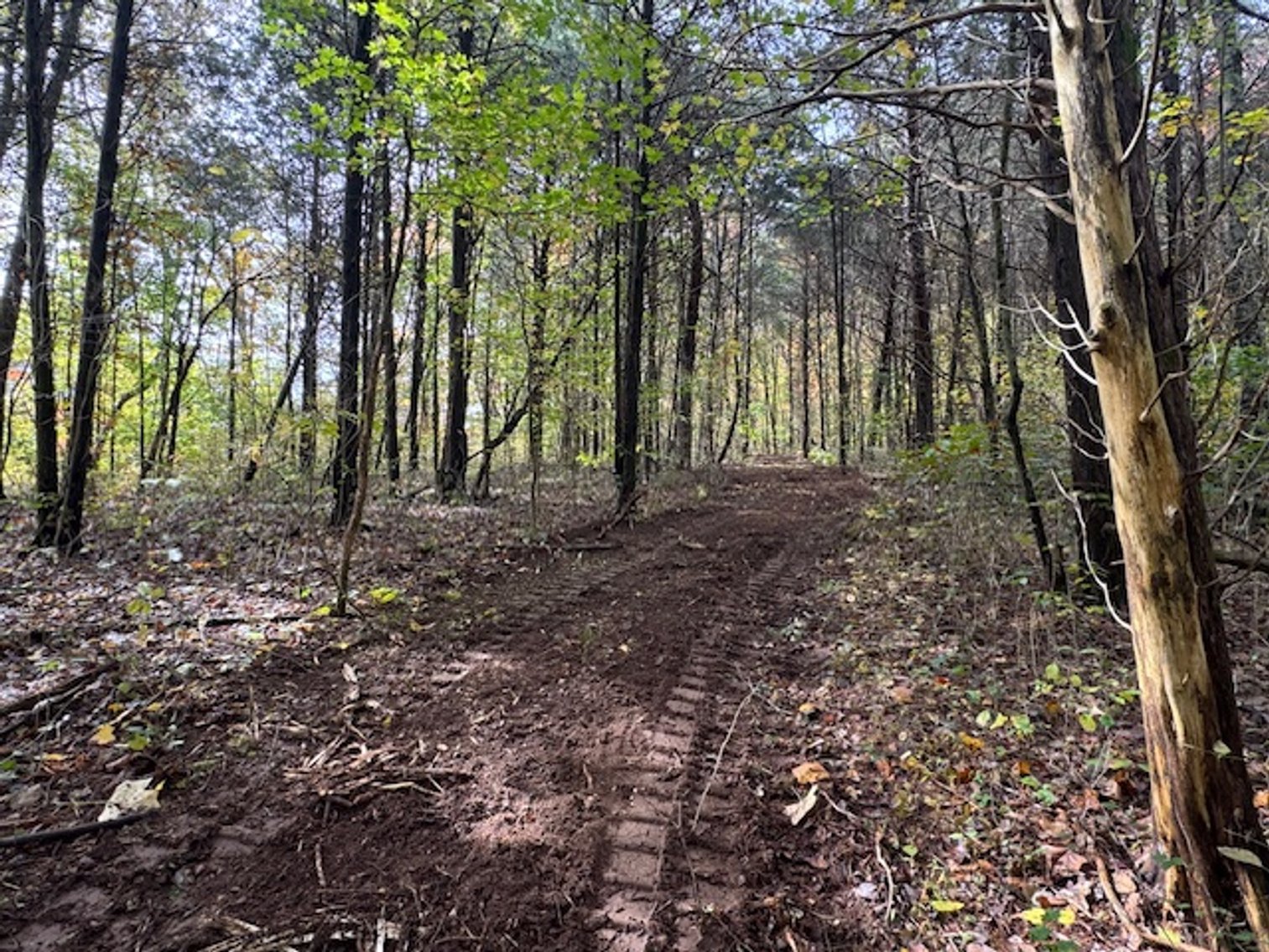 Image for 65 acres on Barren Fork Creek - Bon Aqua, TN