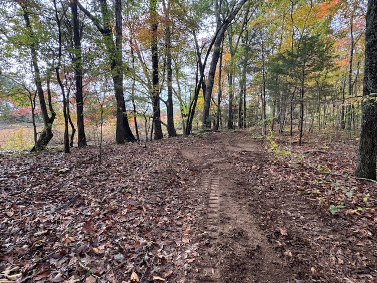 Image for 65 acres on Barren Fork Creek - Bon Aqua, TN