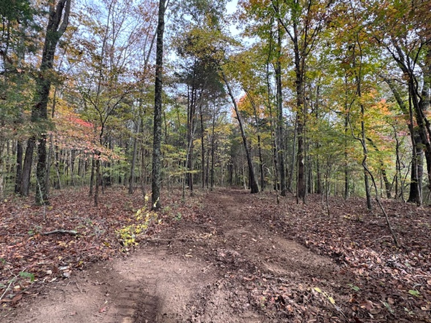 Image for 65 acres on Barren Fork Creek - Bon Aqua, TN