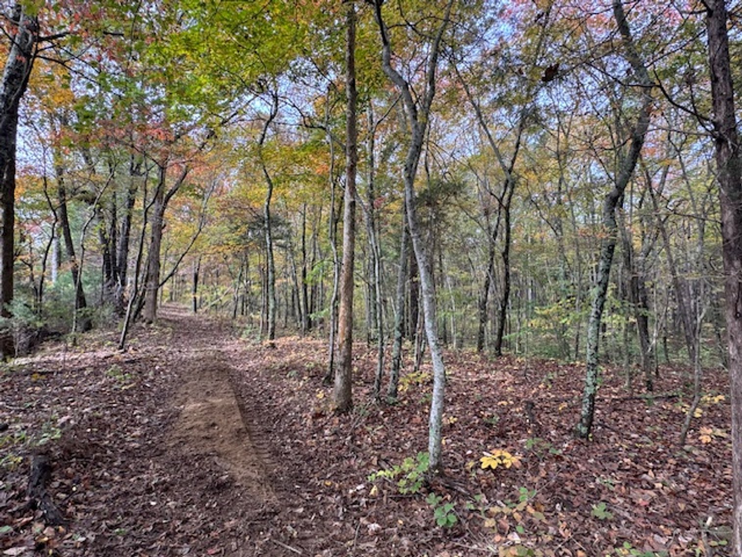 Image for 65 acres on Barren Fork Creek - Bon Aqua, TN