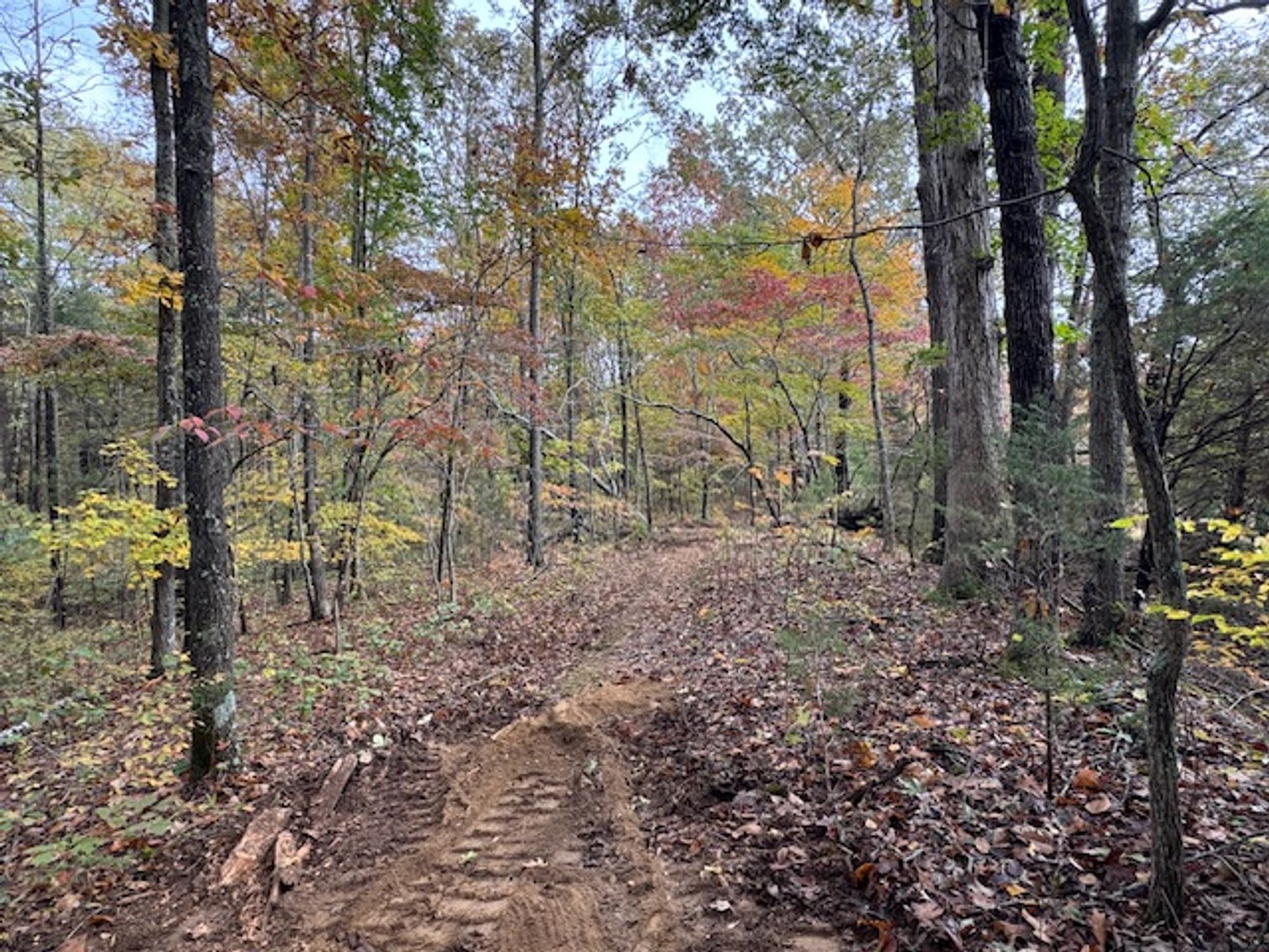 Image for 65 acres on Barren Fork Creek - Bon Aqua, TN