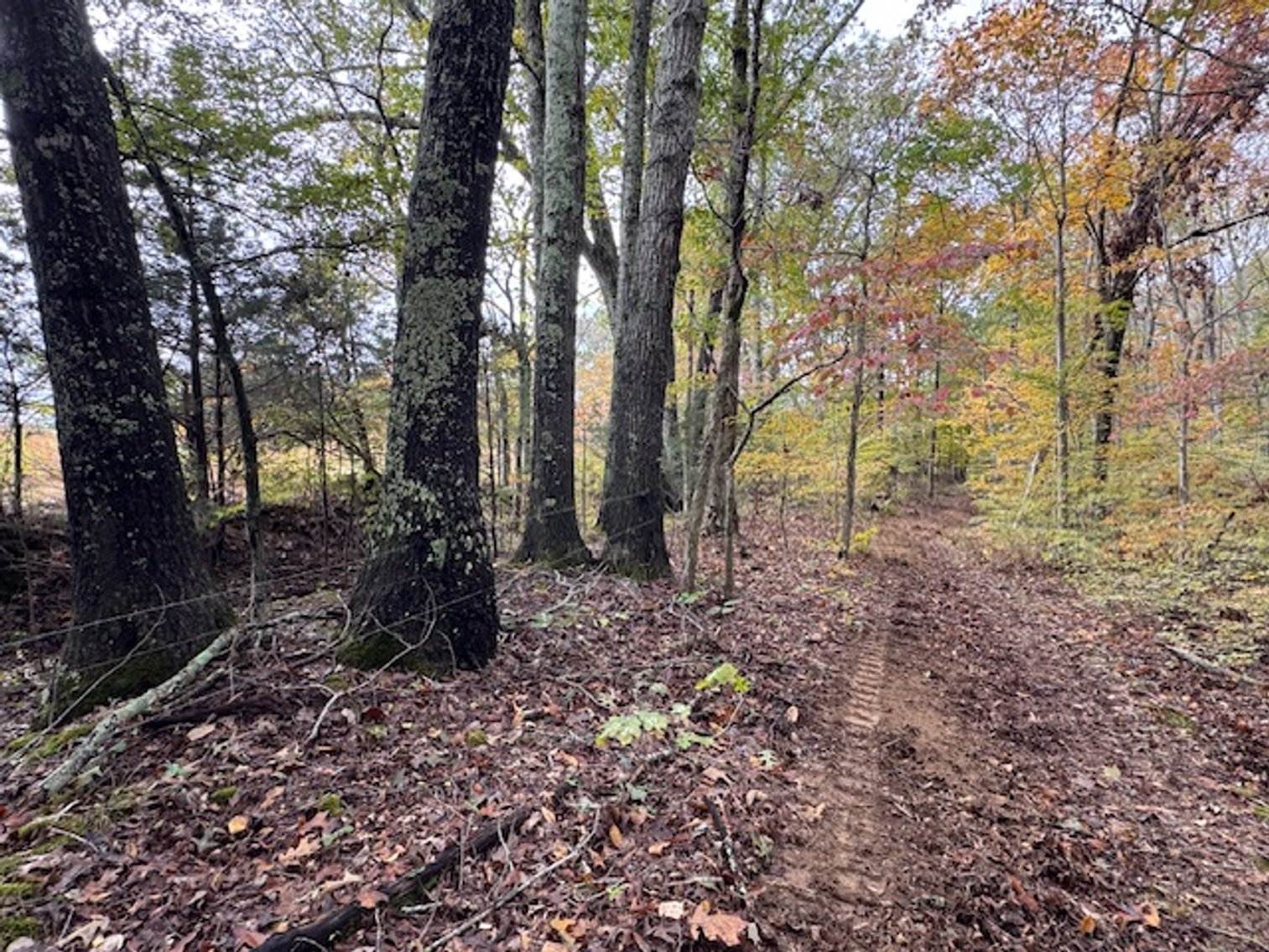 Image for 65 acres on Barren Fork Creek - Bon Aqua, TN