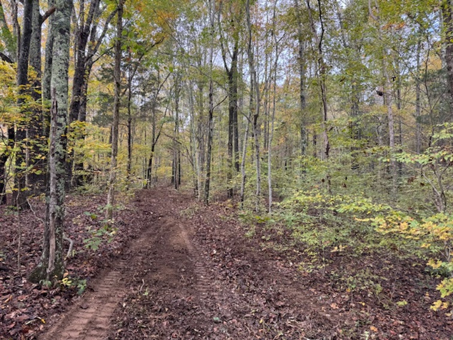 Image for 65 acres on Barren Fork Creek - Bon Aqua, TN