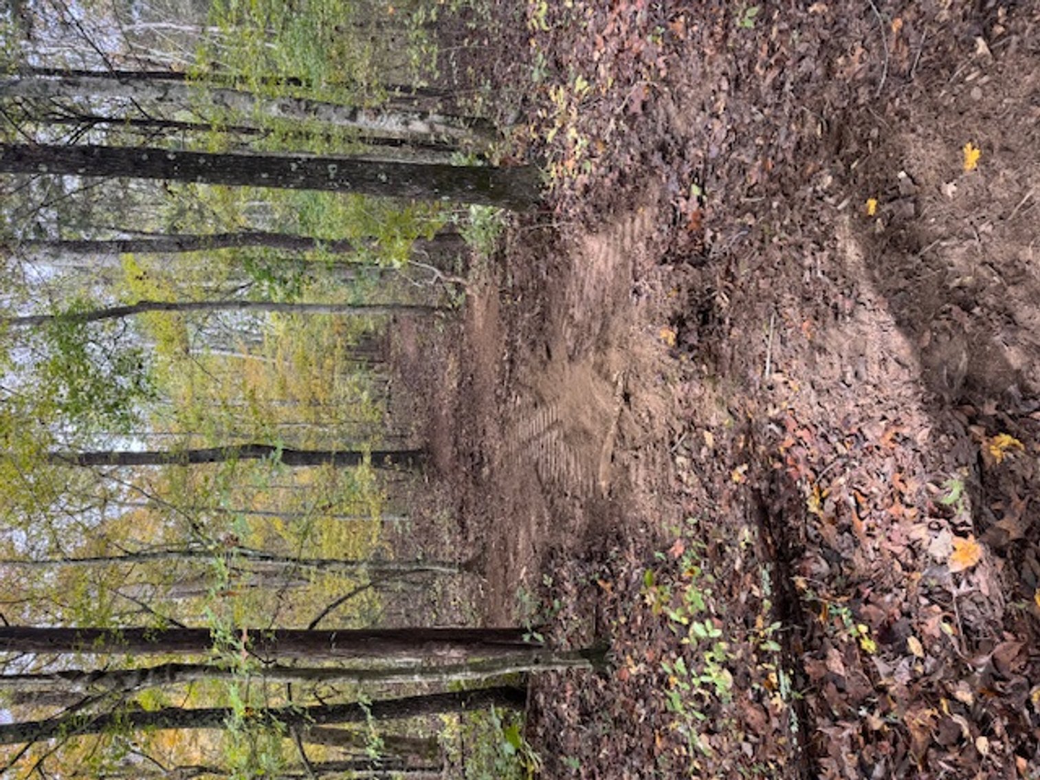 Image for 65 acres on Barren Fork Creek - Bon Aqua, TN