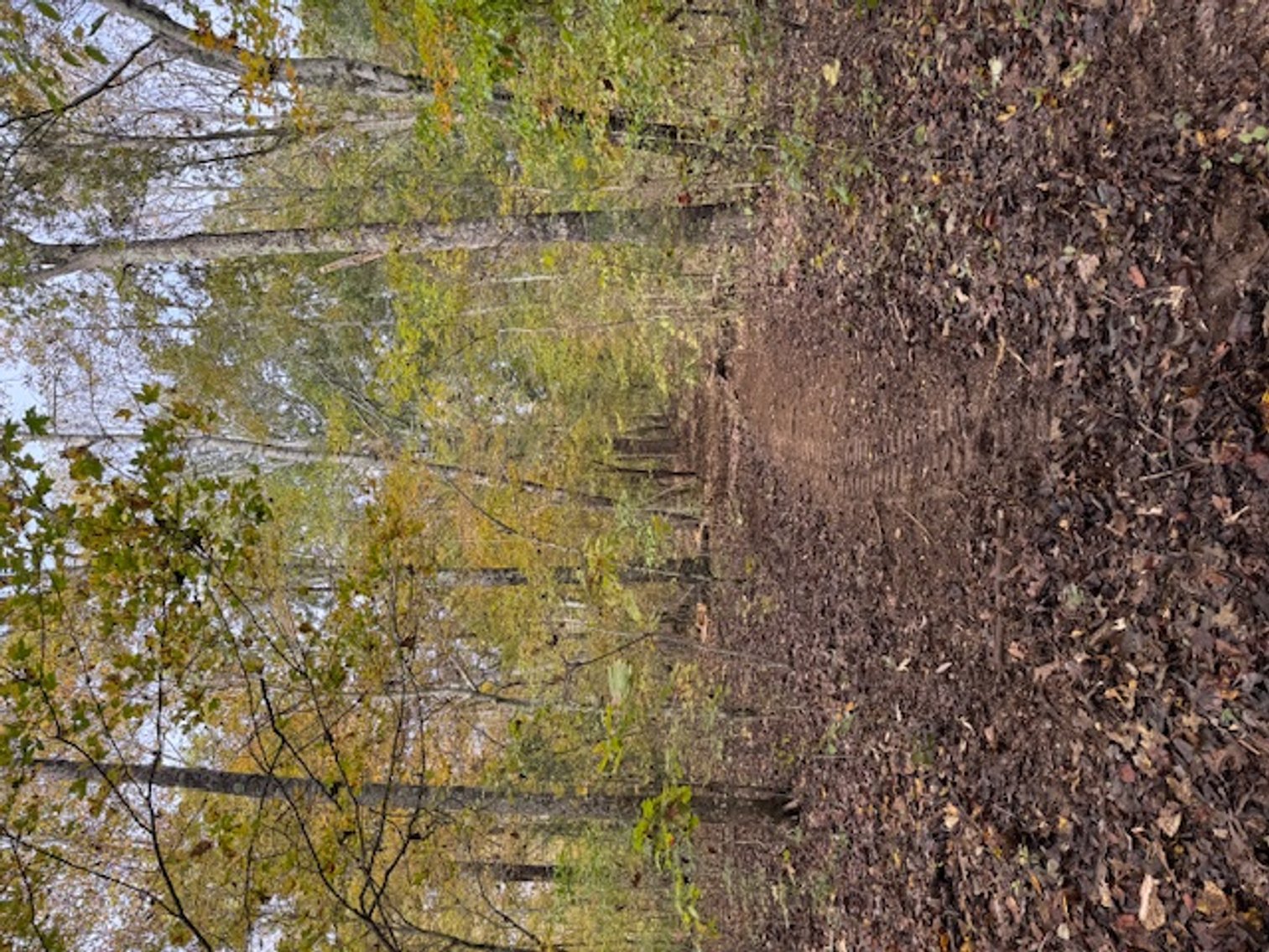 Image for 65 acres on Barren Fork Creek - Bon Aqua, TN