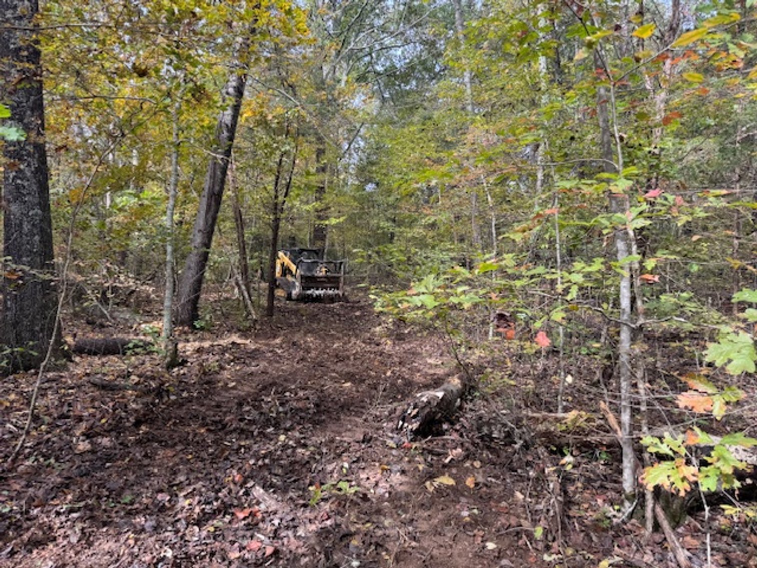 Image for 65 acres on Barren Fork Creek - Bon Aqua, TN