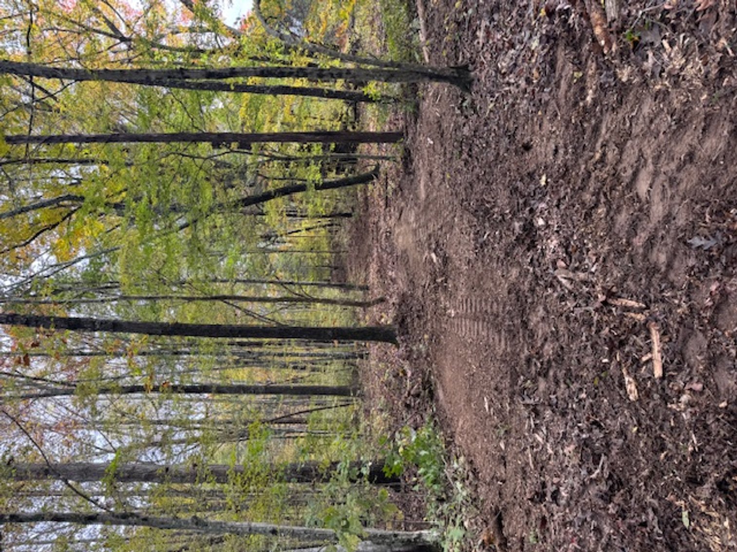 Image for 65 acres on Barren Fork Creek - Bon Aqua, TN