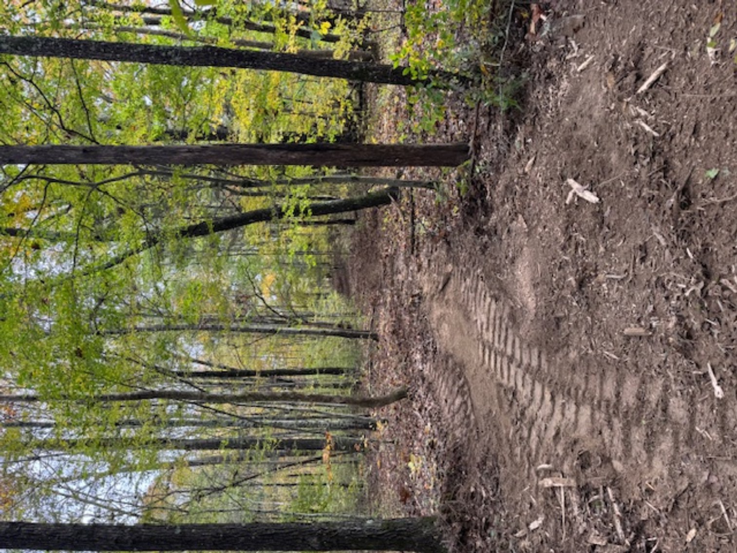 Image for 65 acres on Barren Fork Creek - Bon Aqua, TN