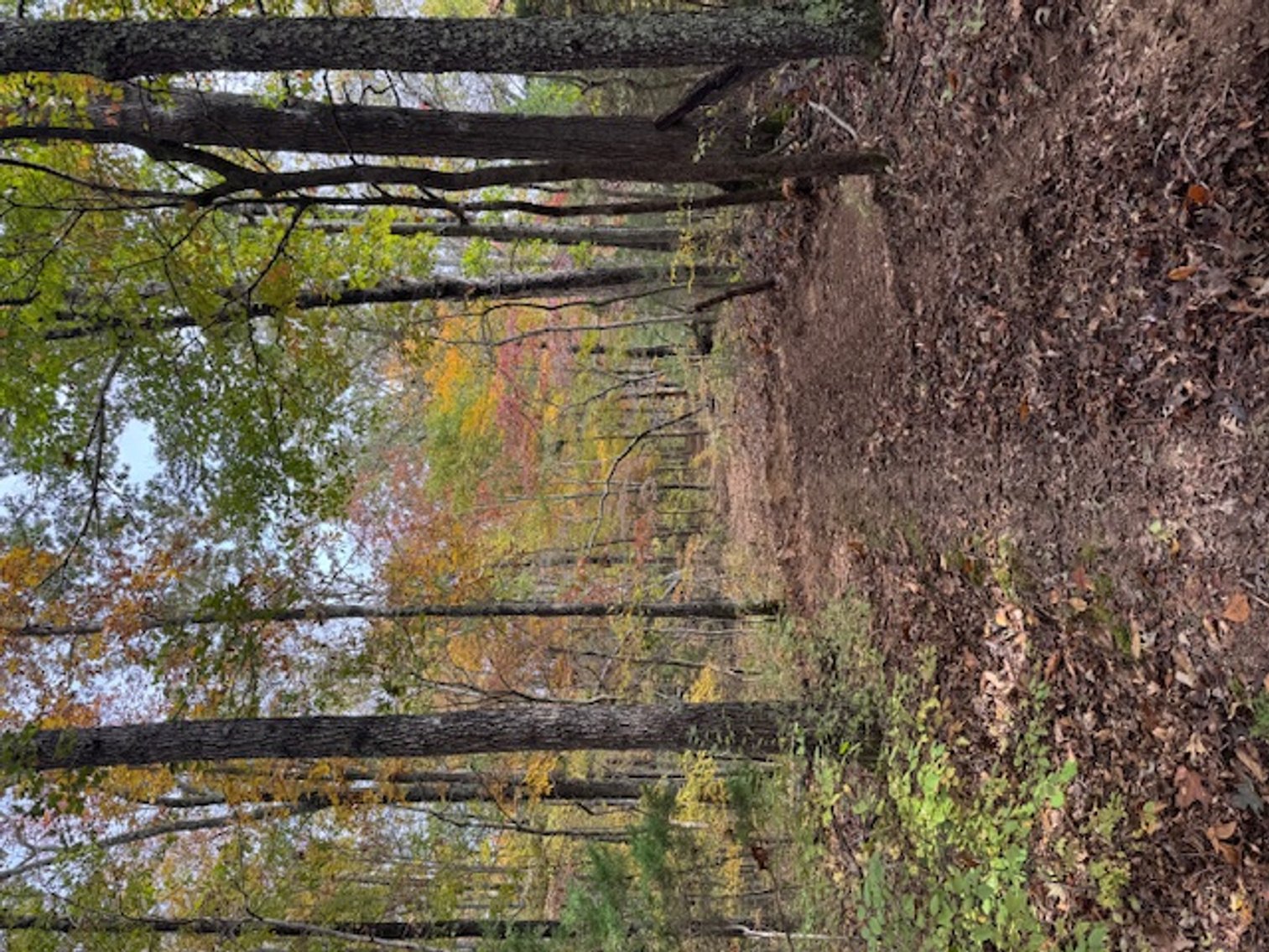 Image for 65 acres on Barren Fork Creek - Bon Aqua, TN