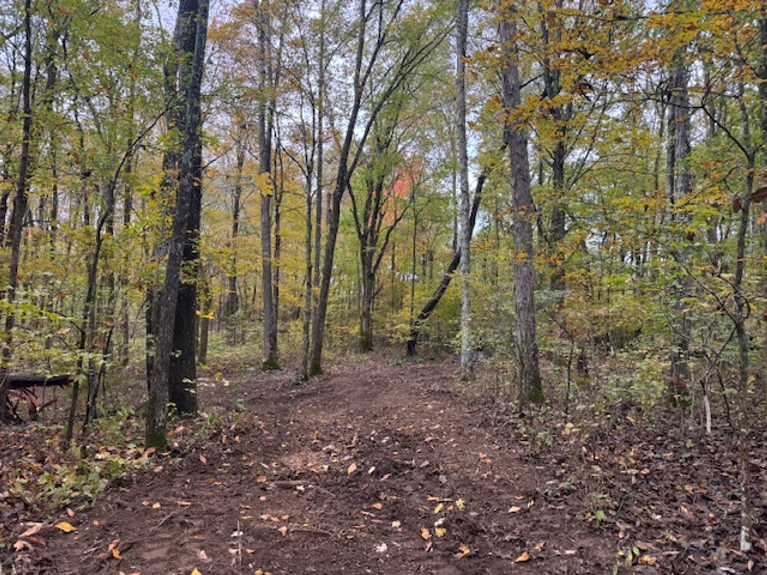 Image for 65 acres on Barren Fork Creek - Bon Aqua, TN