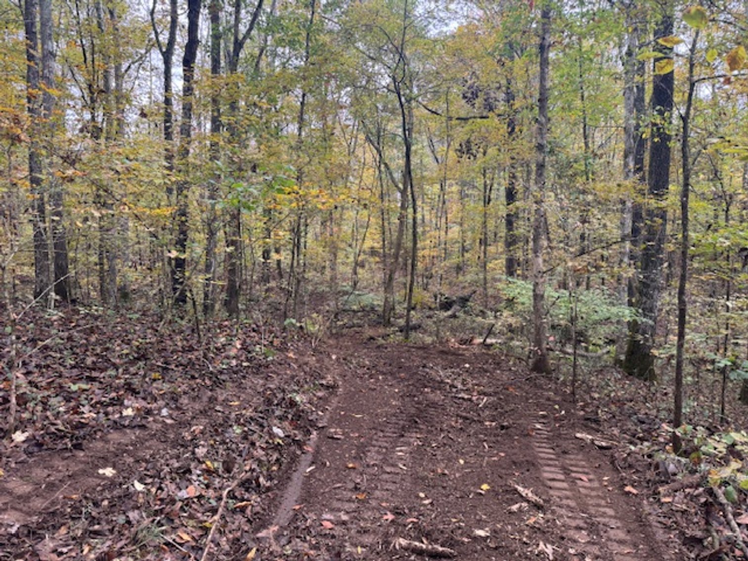 Image for 65 acres on Barren Fork Creek - Bon Aqua, TN