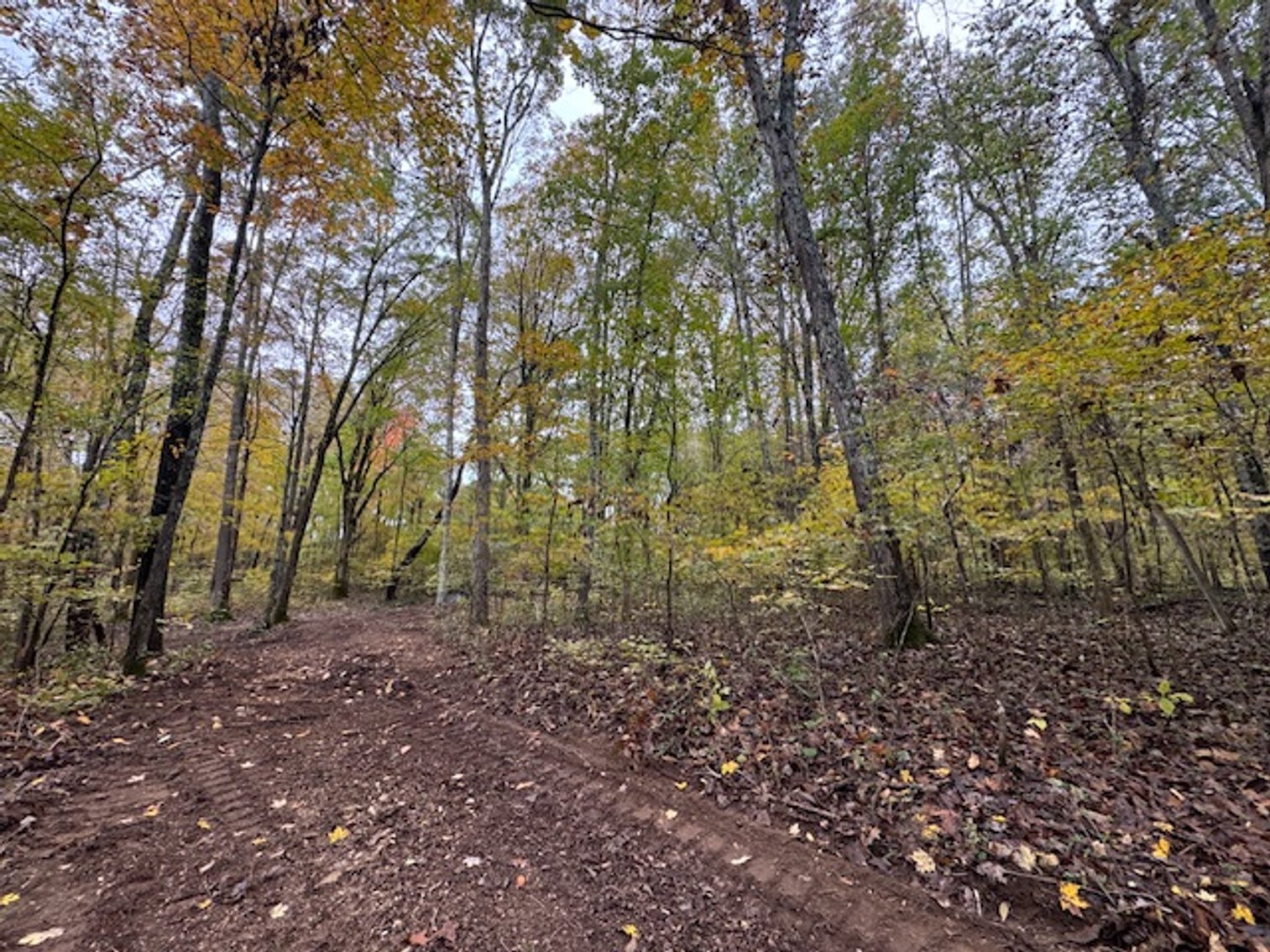 Image for 65 acres on Barren Fork Creek - Bon Aqua, TN