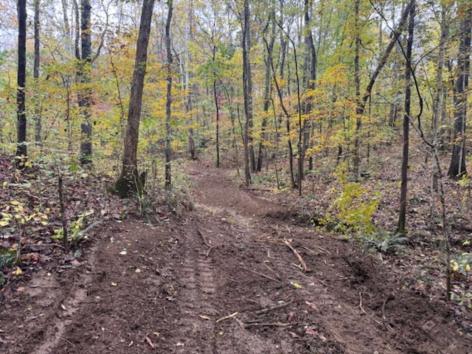 Image for 65 acres on Barren Fork Creek - Bon Aqua, TN