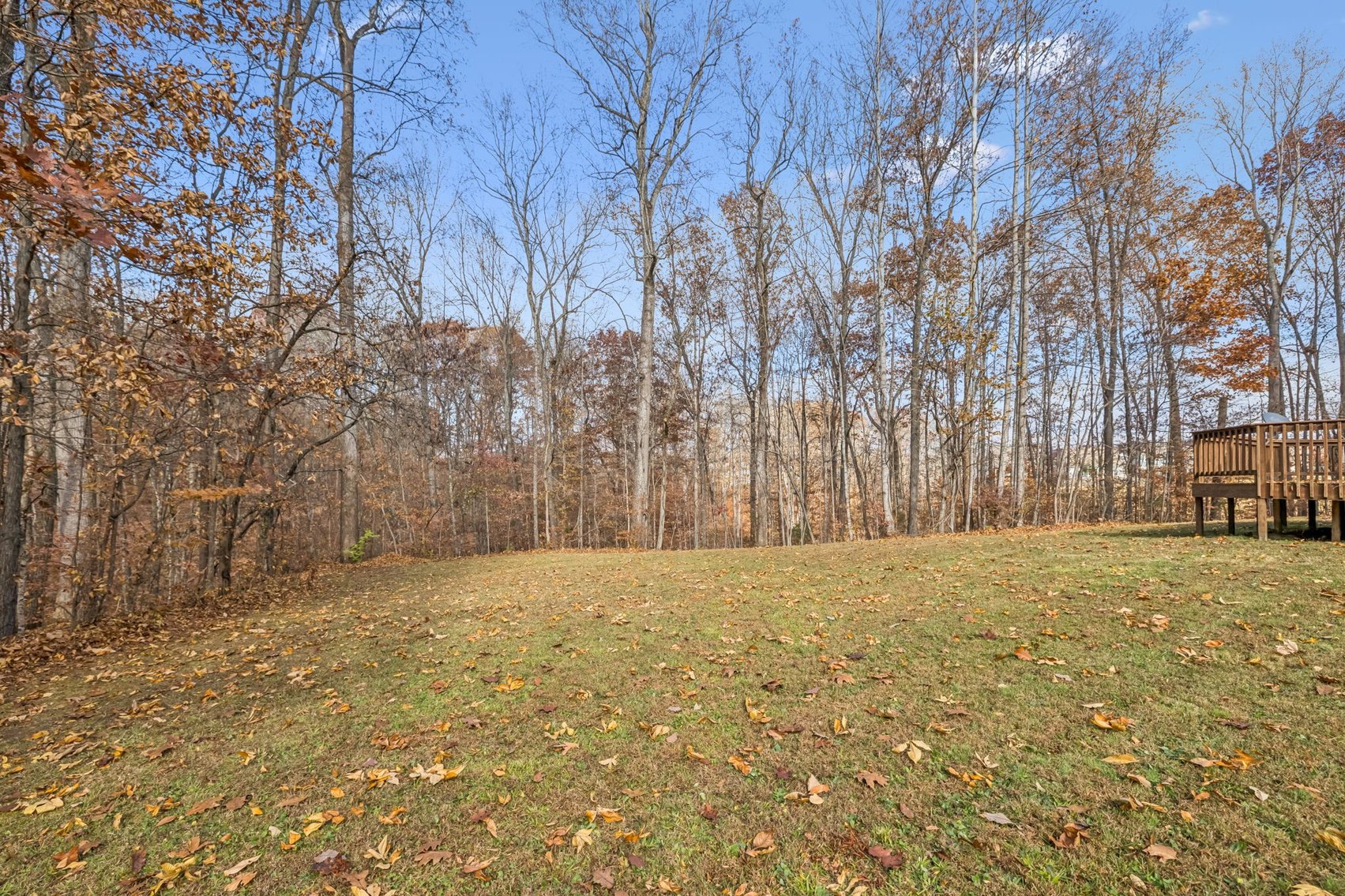 Image for For Sale in Fairview with 5.89 acres - $695,500