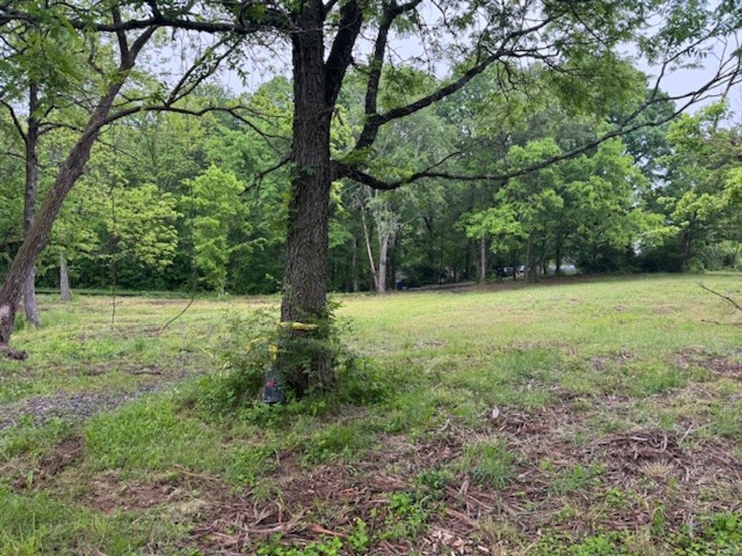 Image for Commercial Land in Fairview - 1.33 Acres (already has water & sewer taps!) - $299,900