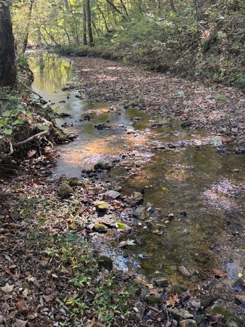 Image for 65.82 Acres - Barren Fork Drive in Bon Aqua (East Hickman County) - $650,000