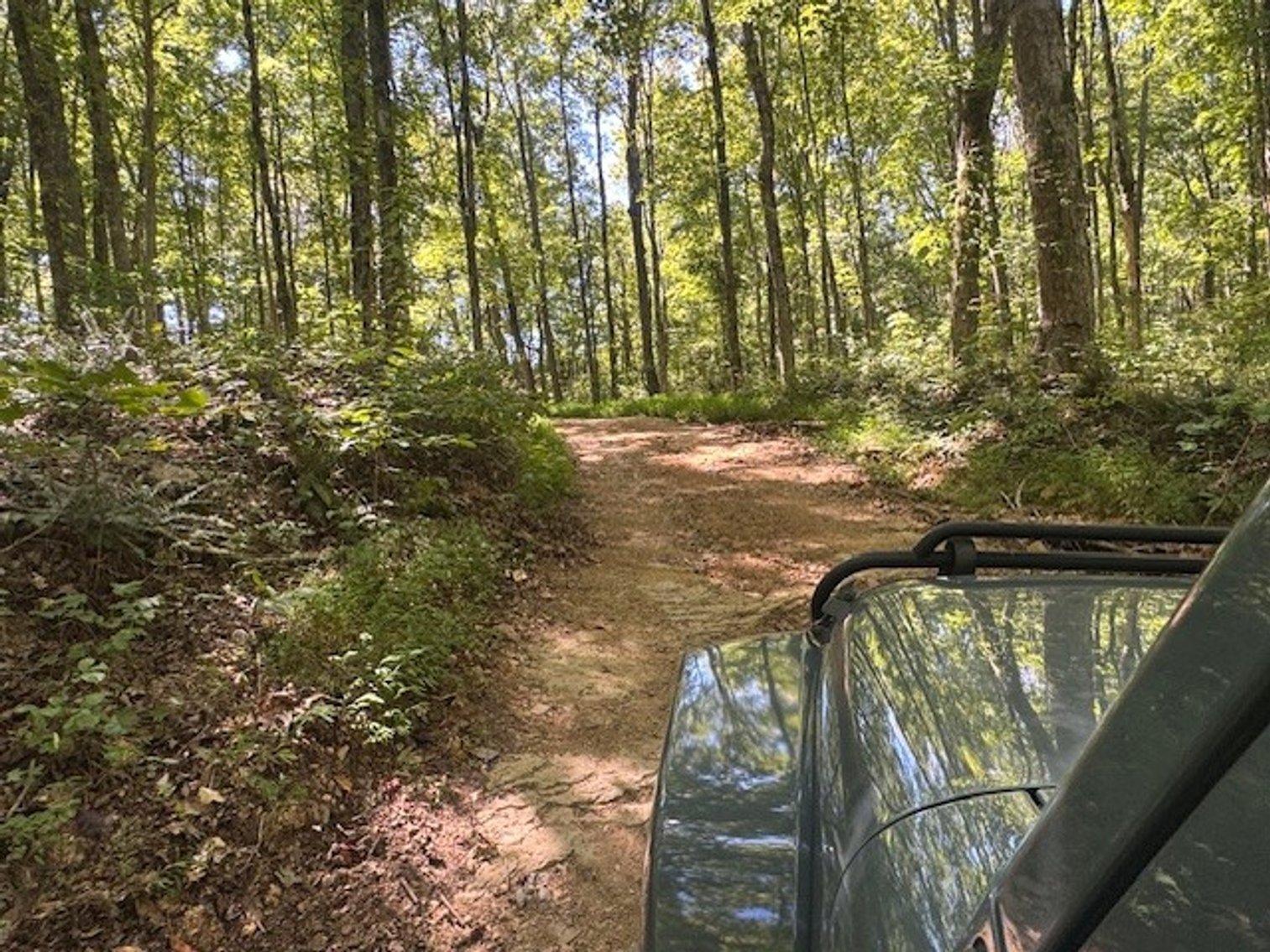 Image for 65.82 Acres - Barren Fork Drive in Bon Aqua (East Hickman County) - $650,000