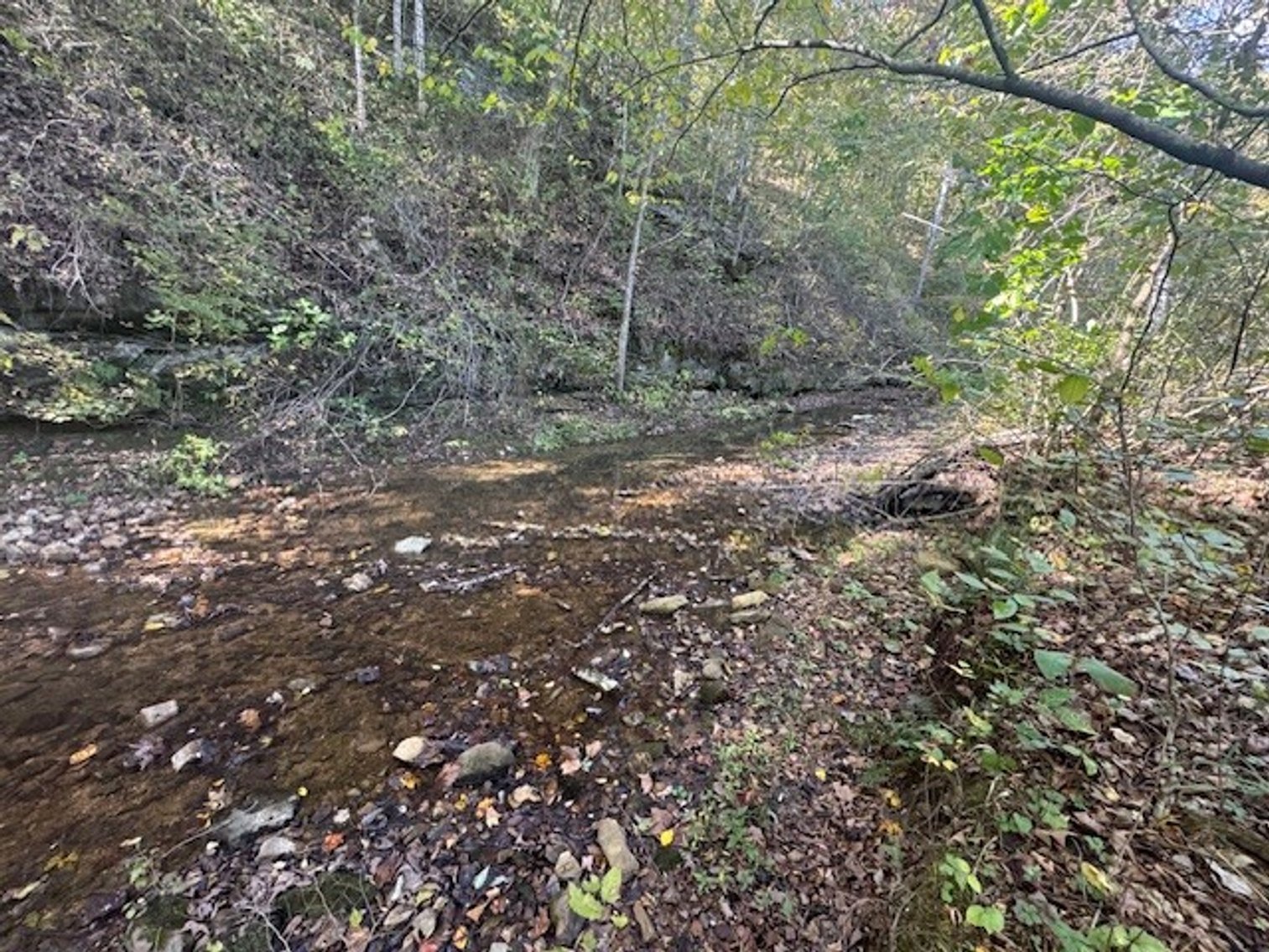 Image for 65.82 Acres - Barren Fork Drive in Bon Aqua (East Hickman County) - $650,000