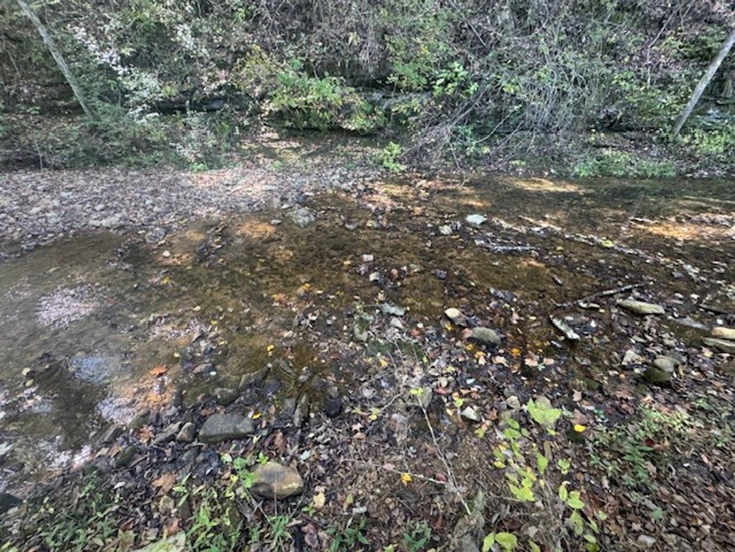 Image for 65.82 Acres - Barren Fork Drive in Bon Aqua (East Hickman County) - $650,000