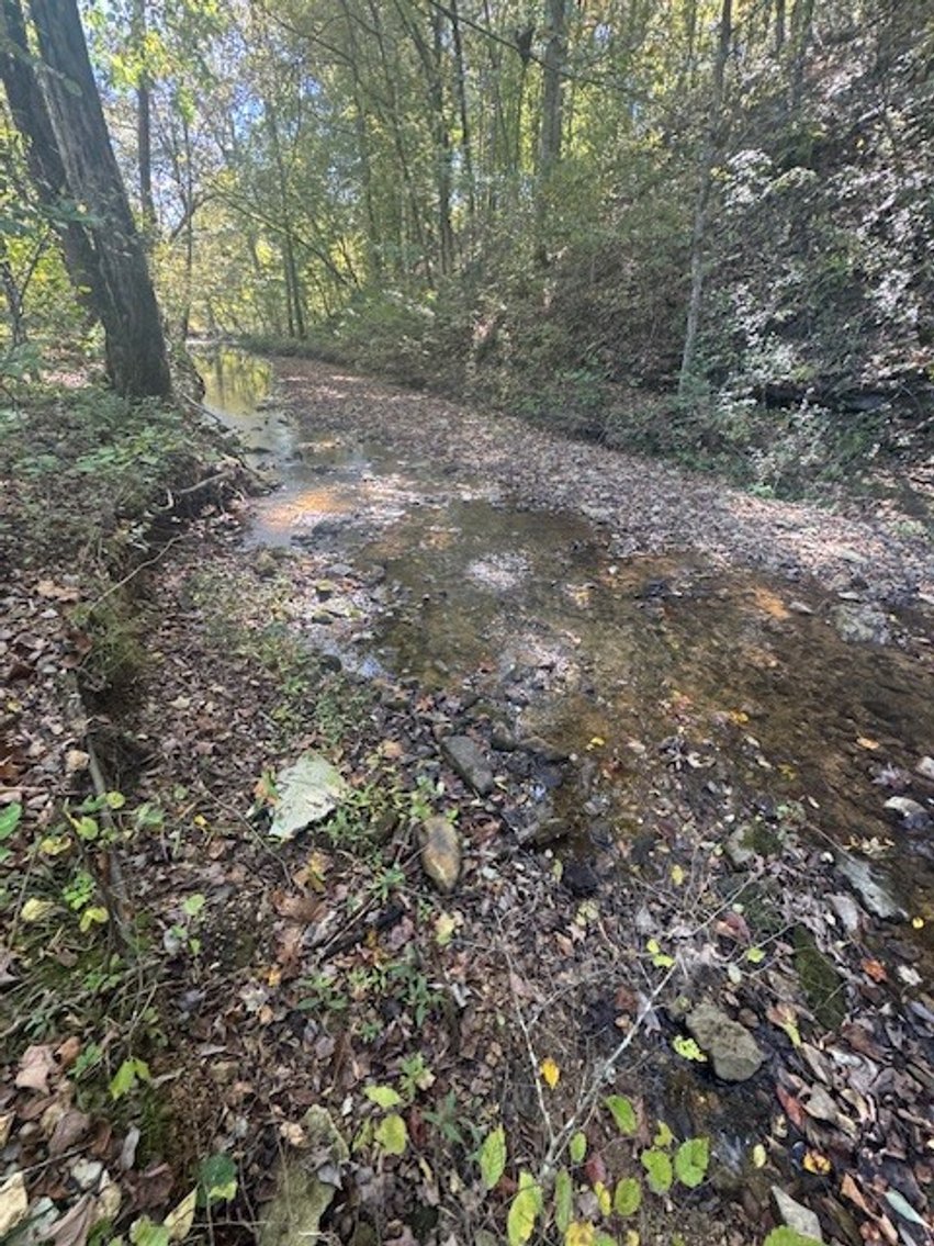 Image for 65.82 Acres - Barren Fork Drive in Bon Aqua (East Hickman County) - $650,000