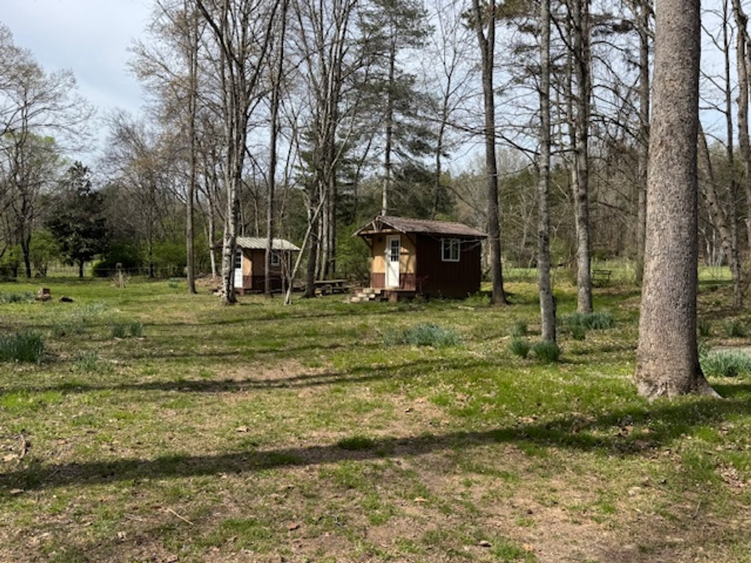 Image for Creekside Haven - Cabin on Bells Branch Creek w/ 3.76 acres