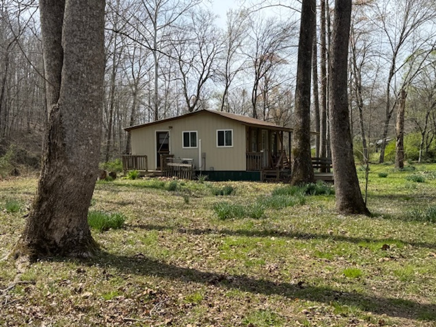 Image for Creekside Haven - Cabin on Bells Branch Creek w/ 3.76 acres