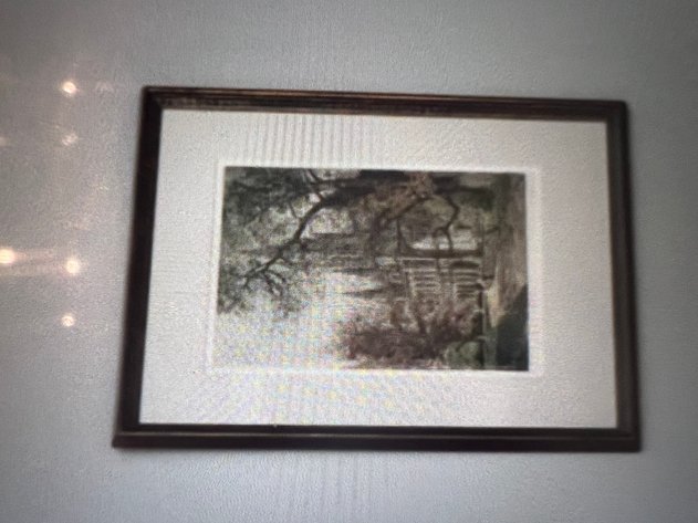 Image for Vienna City Hall framed image