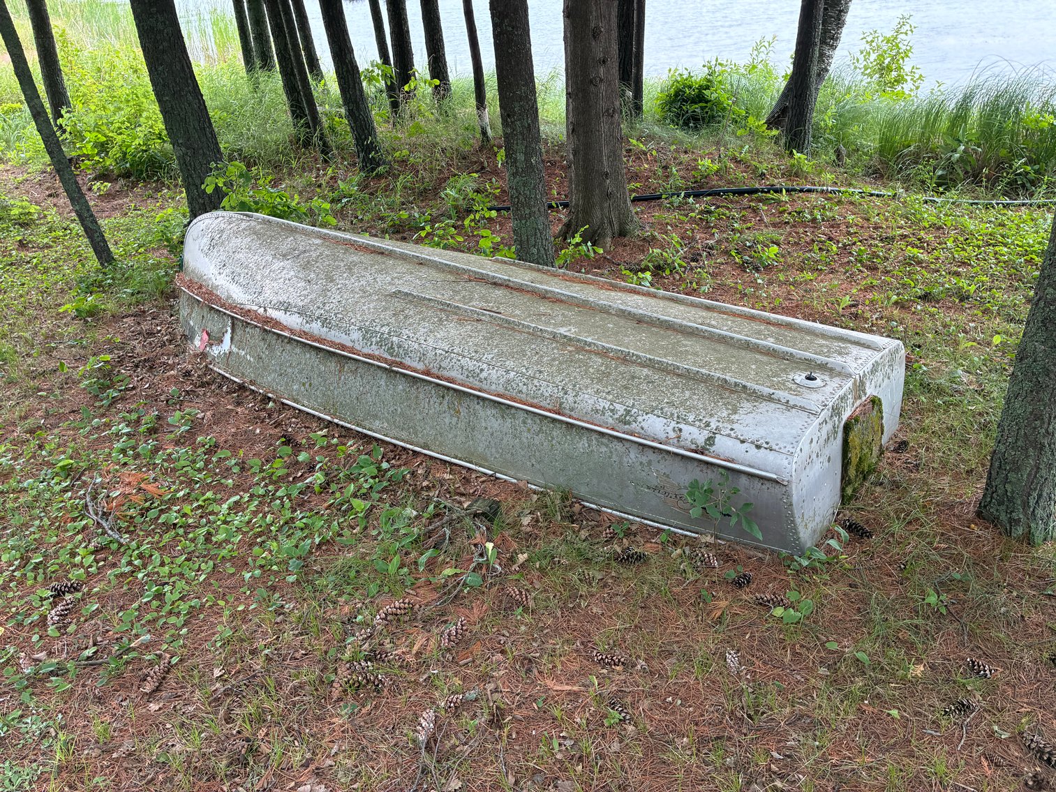 Image for Unpublished - Alice Brown Trust Items on Hold