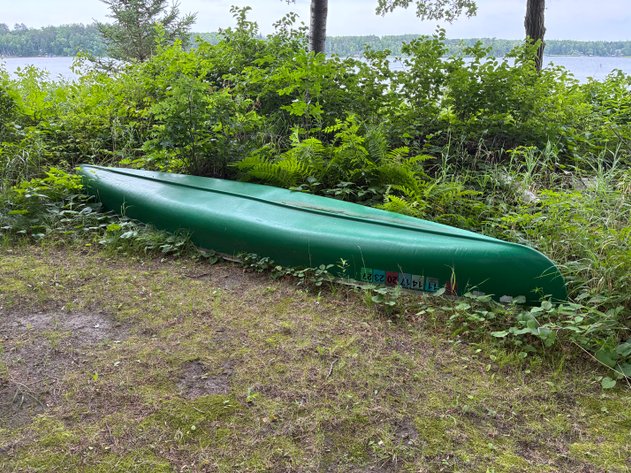 Image for 1980 Coleman 17' canoe