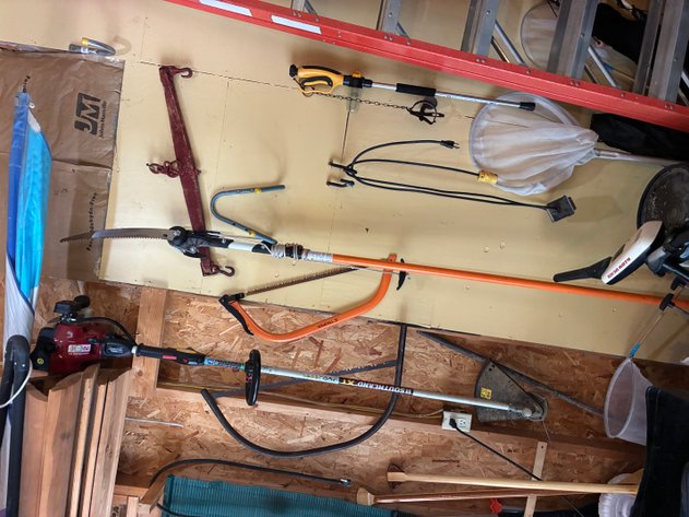 Image for Weed whip, pruning saw, (2) tree saws