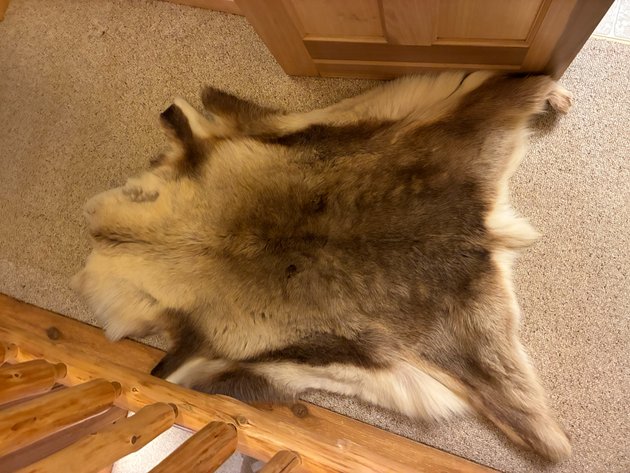 Image for Timberwolf Fur - 51