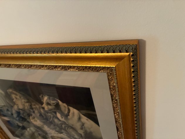 Image for Framed Print - Girl with dogs