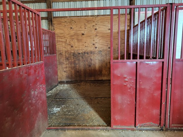 Image for Box stalls (2)