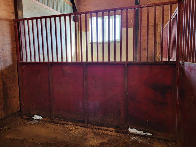 Image for Box stalls (2)