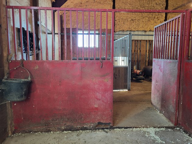 Image for Box stalls (2)