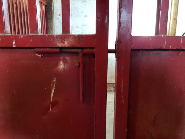 Image for Box stalls (2)