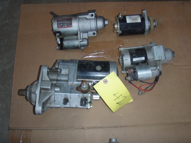 Image for 1st Group of 4 starters