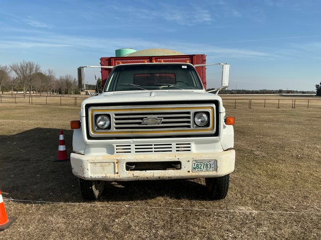 Image for 1981 Chevrolet C60 Grain Truck