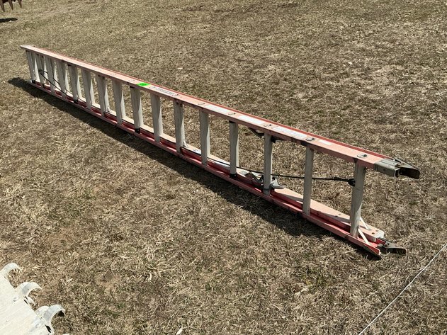 Image for Louisville extension ladder