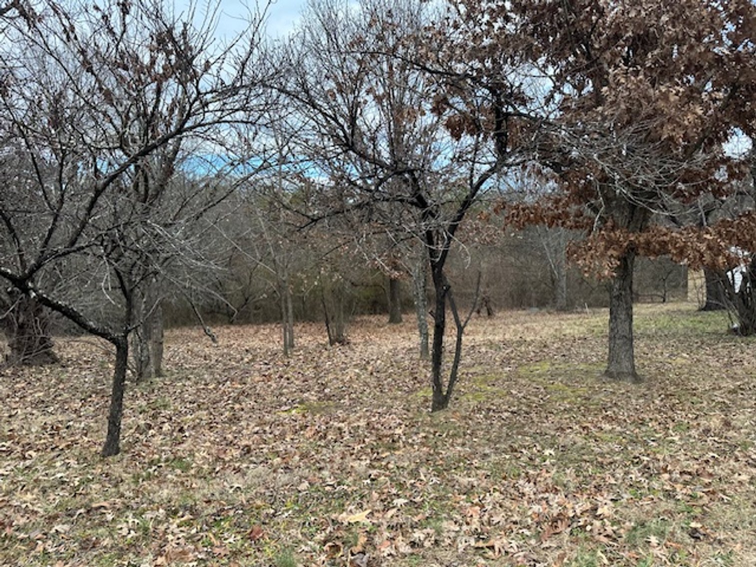 Image for 1109 Front St., Eden, NC