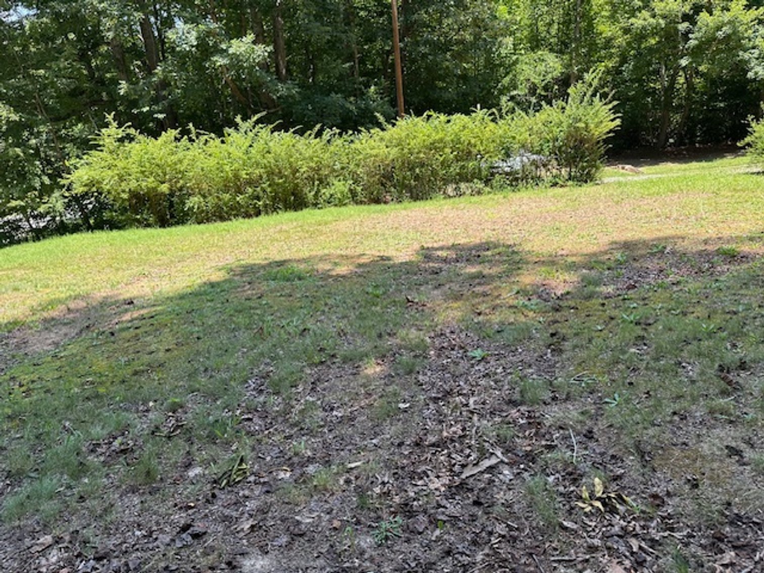 Image for 10301 NC Hwy 87, Reidsville, NC