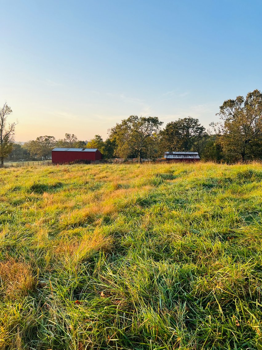 Image for Howell County Land Auction