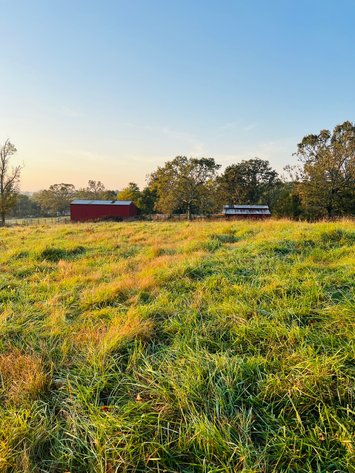 Image for Howell County Land Auction