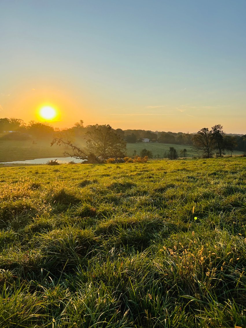 Image for Howell County Land Auction