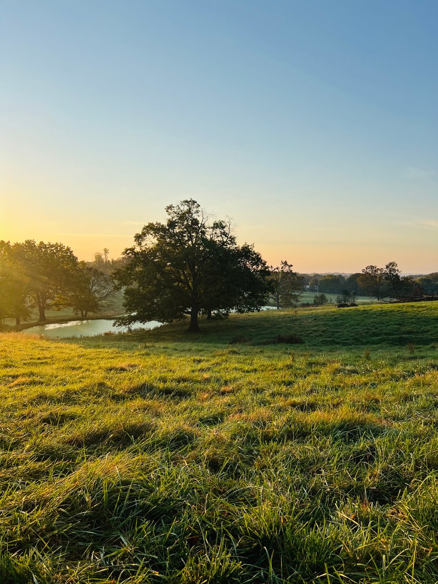 Image for Howell County Land Auction