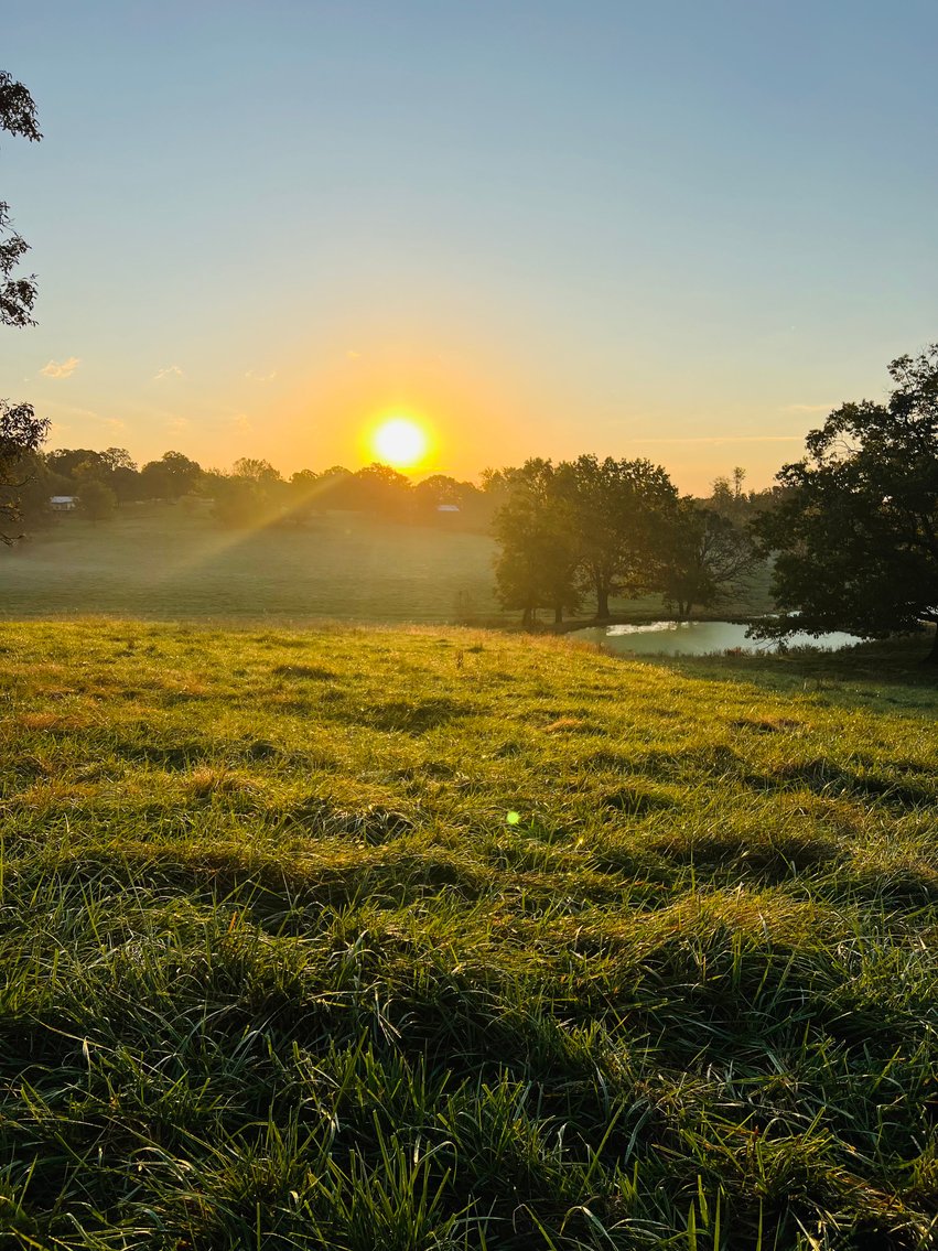 Image for Howell County Land Auction