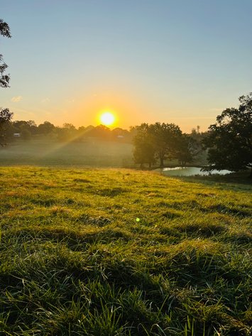 Image for Howell County Land Auction